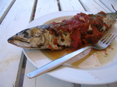 Baked Chub mackerel with tomato and garlic