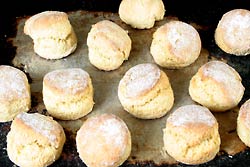 Savory Applesauce Biscuits
